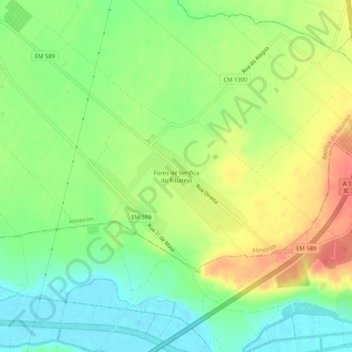 Mapa topográfico Foros de Benfica do Ribatejo, altitude, relevo