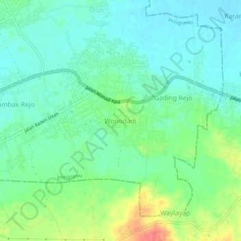 Mapa topográfico Wonodadi, altitude, relevo