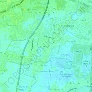 Mapa topográfico Wage, altitude, relevo