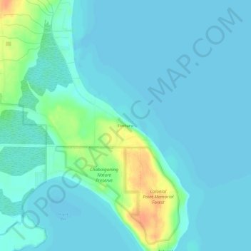 Mapa topográfico Elmhurst, altitude, relevo