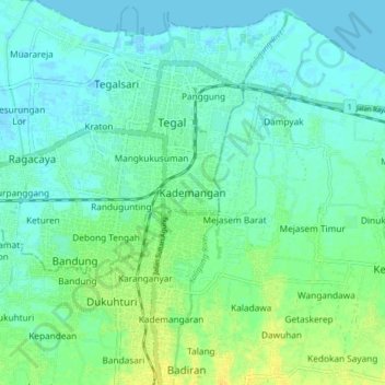 Mapa topográfico Kademangan, altitude, relevo