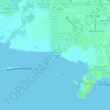 Mapa topográfico The Reserve of Old Tampa Bay, altitude, relevo