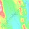 Mapa topográfico Damián Carmona, altitude, relevo