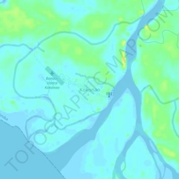 Mapa topográfico Kokonao, altitude, relevo