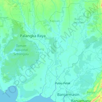 Mapa topográfico Pulang Pisau, altitude, relevo