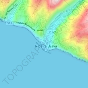 Mapa topográfico Ribeira Brava, altitude, relevo