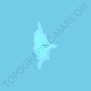 Mapa topográfico Big Whale Cay, altitude, relevo